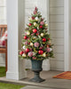 Potted Trees
