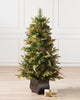 Potted Trees