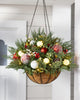 Hanging Basket