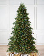 California Baby Redwood® Christmas Tree