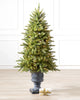 Potted Trees