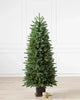 Potted Trees