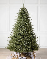 Classic Blue Spruce® Christmas Tree