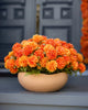 Potted Flowers